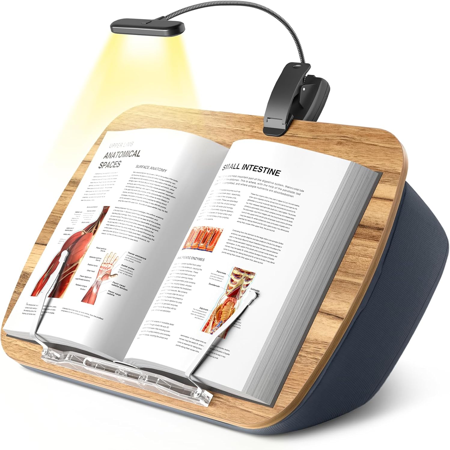 ERGONOV Book Pillow Stand with 6500K Reading Light